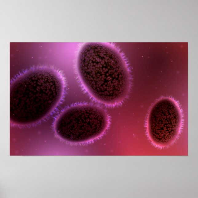 Mikroskopische Darstellung von Samlpox 2 Poster (Vorne)