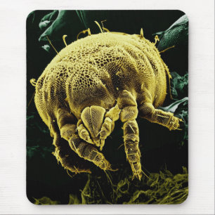 Mikroskopische Gliederfüßer Acari Milbe Lorryia Mousepad