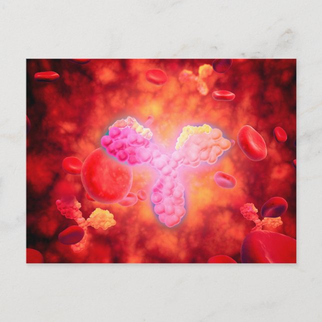 Mikroskopische Sicht auf menschliche Antikörper Postkarte (Vorderseite)