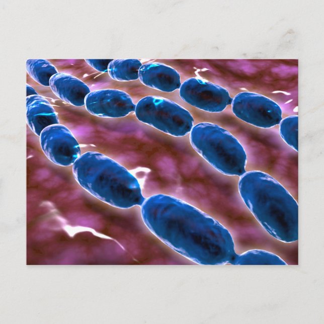 Mikroskopische Sicht der Bakterienpneumonie 1 Postkarte (Vorderseite)