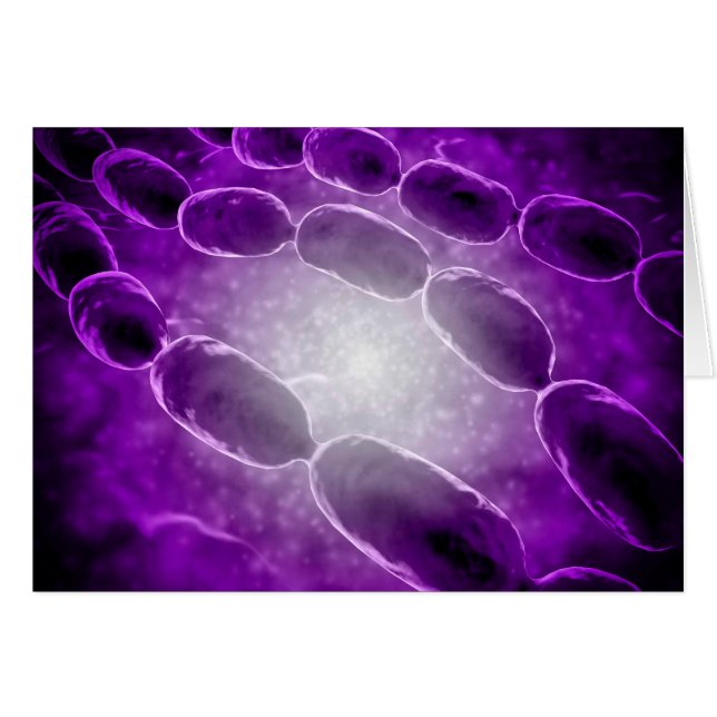 Mikroskopische Sicht der Bakterienpneumonie 2 (Vorderseite (Horizontal))