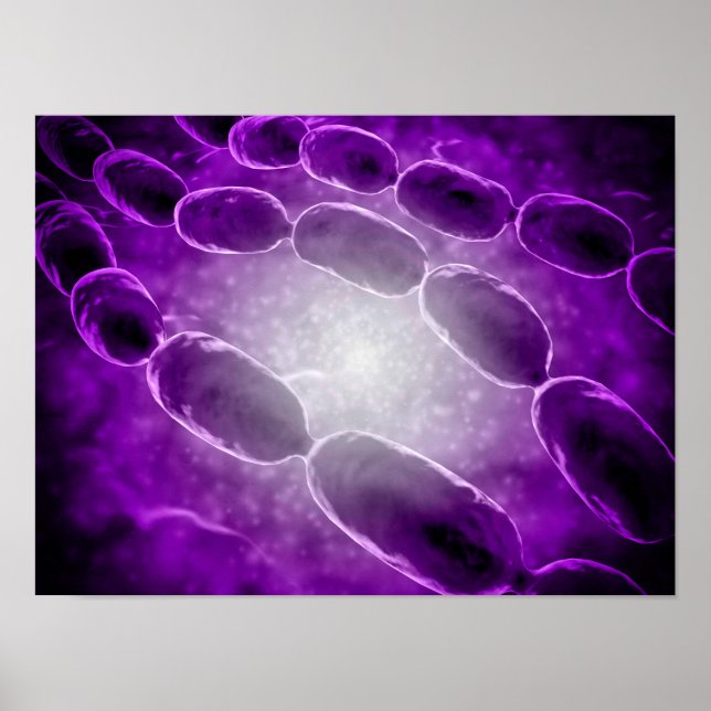 Mikroskopische Sicht der Bakterienpneumonie 2 Poster (Vorne)