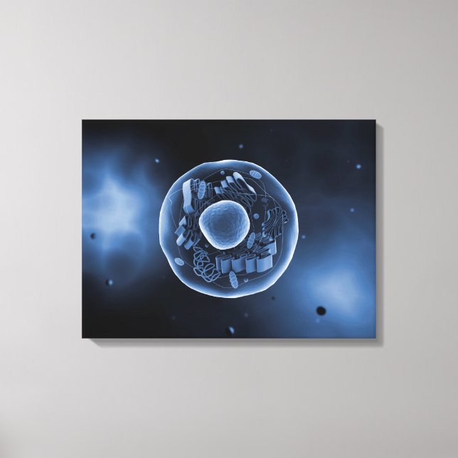Mikroskopische Sicht der Tierzelle 3 Leinwanddruck (Vorderseite)