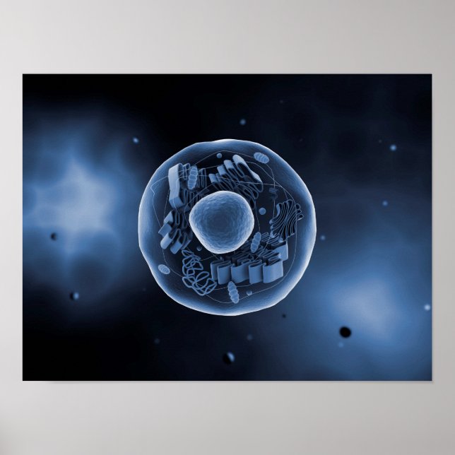Mikroskopische Sicht der Tierzelle 3 Poster (Vorne)