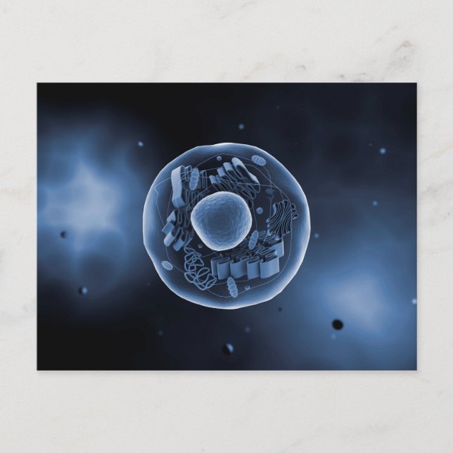 Mikroskopische Sicht der Tierzelle 3 Postkarte (Vorderseite)