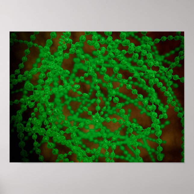 Mikroskopische Sicht des Cocci-Bakteriums Poster (Vorne)