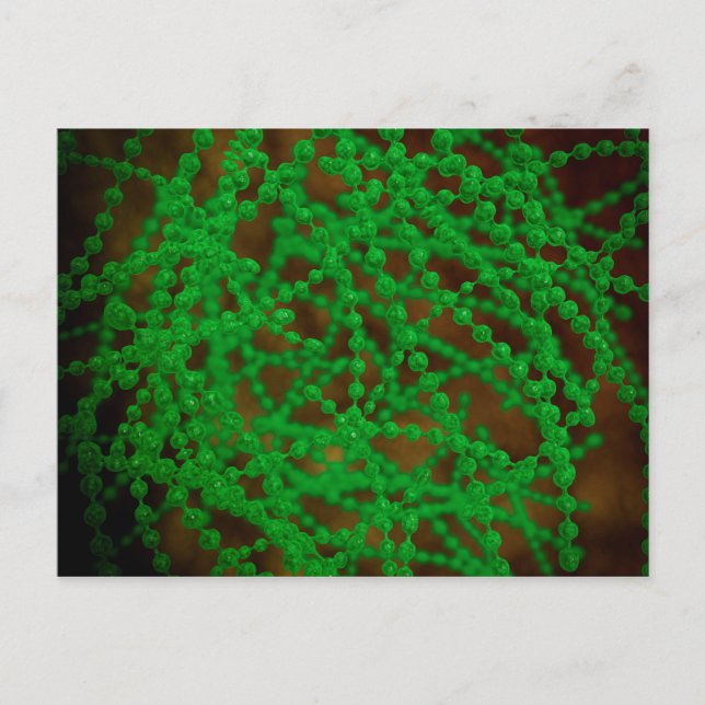 Mikroskopische Sicht des Cocci-Bakteriums Postkarte (Vorderseite)