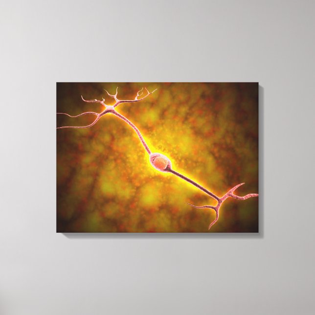 Mikroskopische Sicht einer bipolaren Neuron Leinwanddruck (Vorderseite)