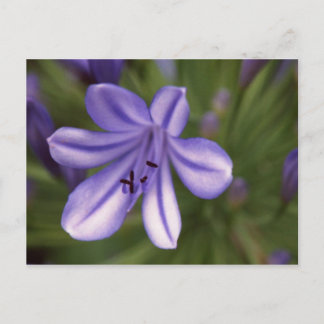 Mikroskopische Sicht Postkarte
