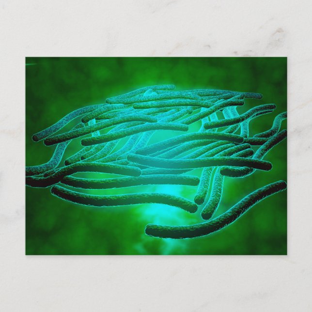 Mikroskopische Sicht von Legionella Pneumophila 1 Postkarte (Vorderseite)