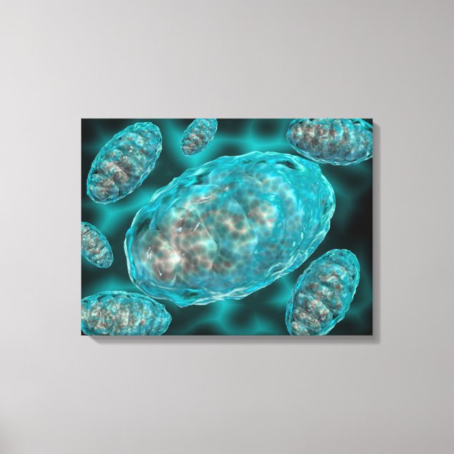 Mikroskopische Sicht von Mitochondrien 2 Leinwanddruck (Vorderseite)