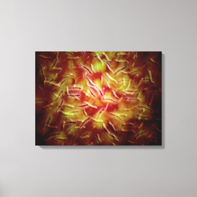 Mikroskopische Spermienansicht Leinwanddruck (Vorderseite)