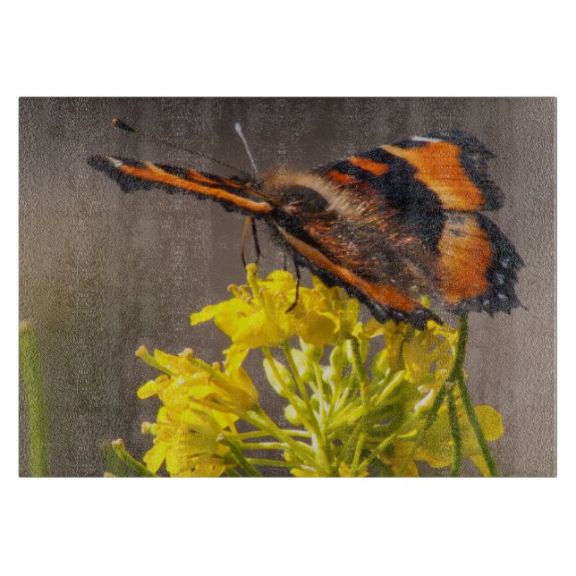 Milberts Tortoiseshell-Schmetterling Nah hoch Schneidebrett (Vorderseite)