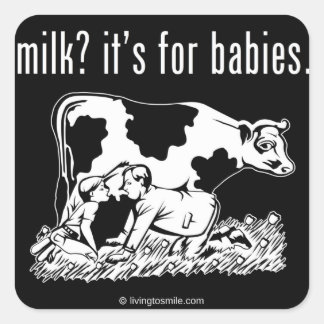 Milch? Es ist für Babys. Quadratischer Aufkleber