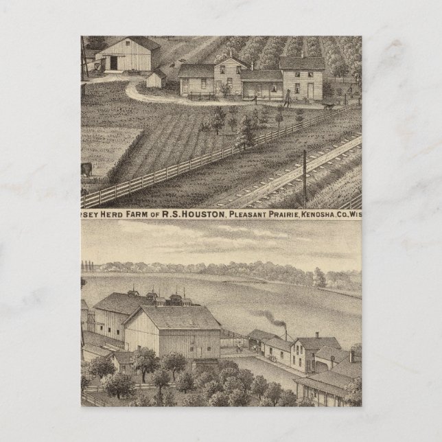 Milchbetriebe der RS Houston und WC White Postkarte (Vorderseite)