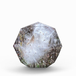 Milchkraut und Seide Fotoblock