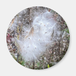 Milchkraut und Seide Magnet