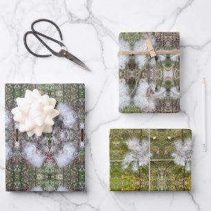 Milchkrautfrüchte, Samen und Seide Natürlich Geschenkpapier Set