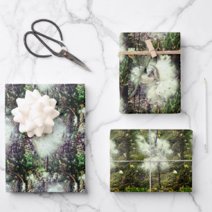 Milchkrautfrüchte, Samen und Seide   Recoleta   Geschenkpapier Set