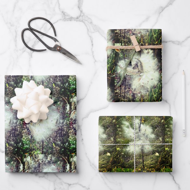 Milchkrautfrüchte, Samen und Seide | Recoleta | Geschenkpapier Set (Vorderseite)