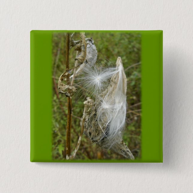 Milchkrautsamen-Koordinaten Button (Vorderseite)