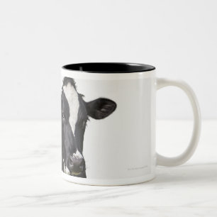 Milchkuh (Bosstier) auf weißem Hintergrund Zweifarbige Tasse