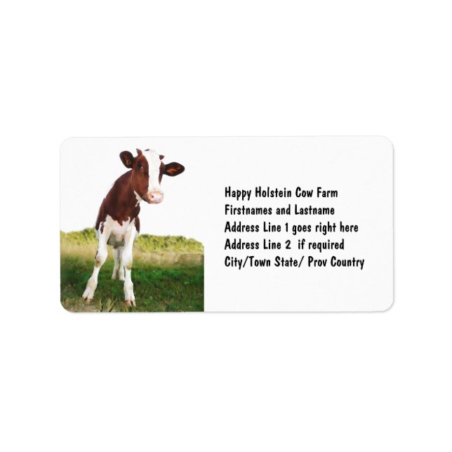 Milchkühe - braun gestrichen & weiß Holstein Adressaufkleber (Vorne)