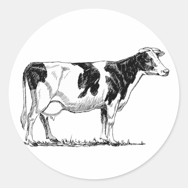 Milchkühe Holstein Fresian Pencil Zeichnend Runder Aufkleber (Vorderseite)
