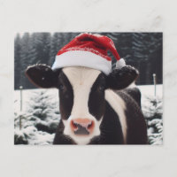 Milchkühe in einer Weihnachtsmannmütze