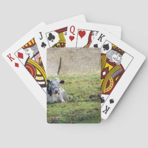 Milchkühe Spielkarten