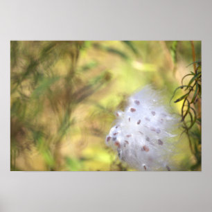 Milchpflanzen-Fotoplakat Poster