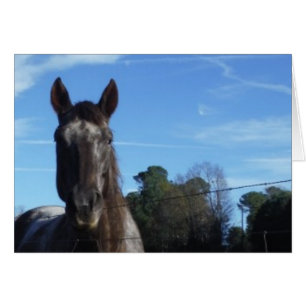 Milchschokolade Braunes Pferd in Blau