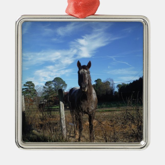 Milchschokolade Braunes Pferd in Blau Silbernes Ornament (Vorne)