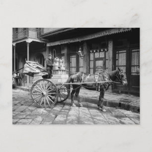 Milchwagen in New Orleans: 1903 Postkarte