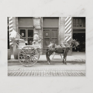 Milchwagen in New Orleans, 1910 Postkarte