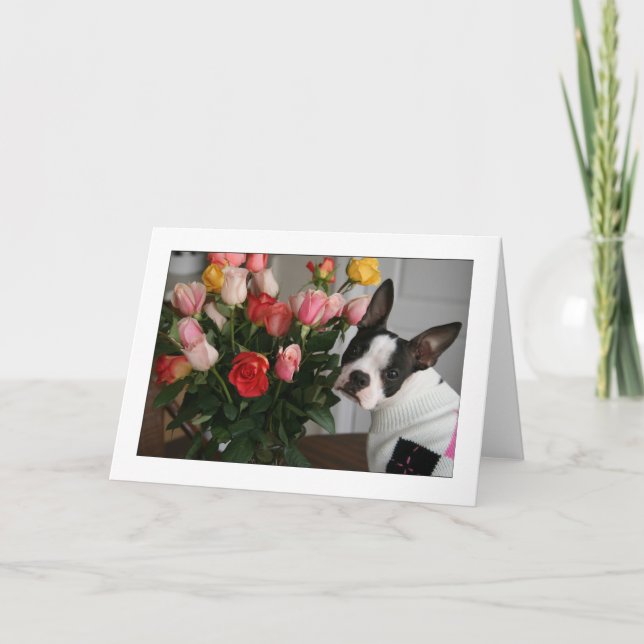 Miley mit Rosen Karte (Vorderseite)