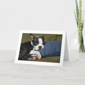 Miley wird gestört karte