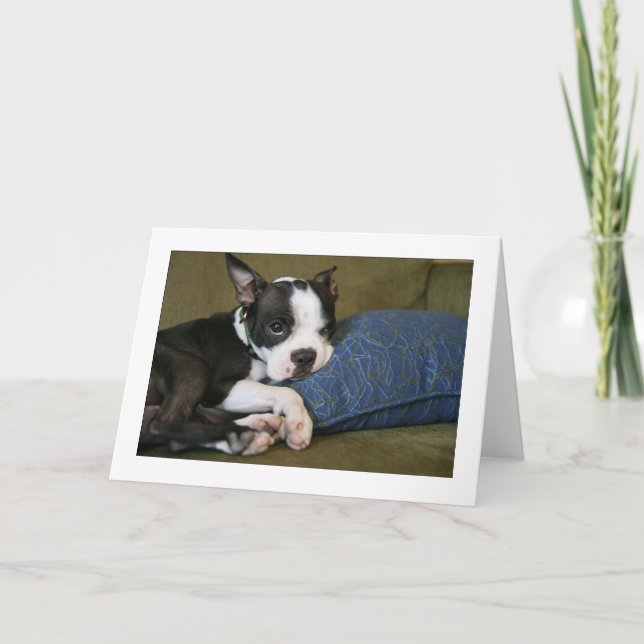 Miley wird gestört karte (Vorderseite)