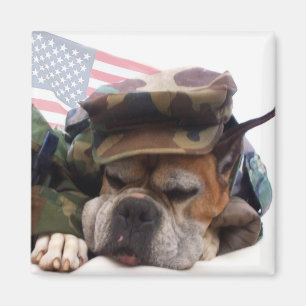 Militärboxer Dog Magnet