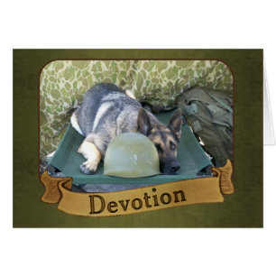 Militärischer Schäferhund