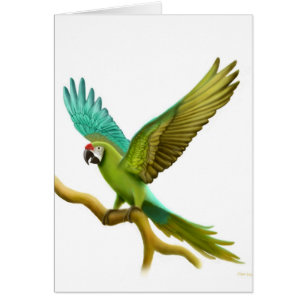 Militärmacaw-Karte