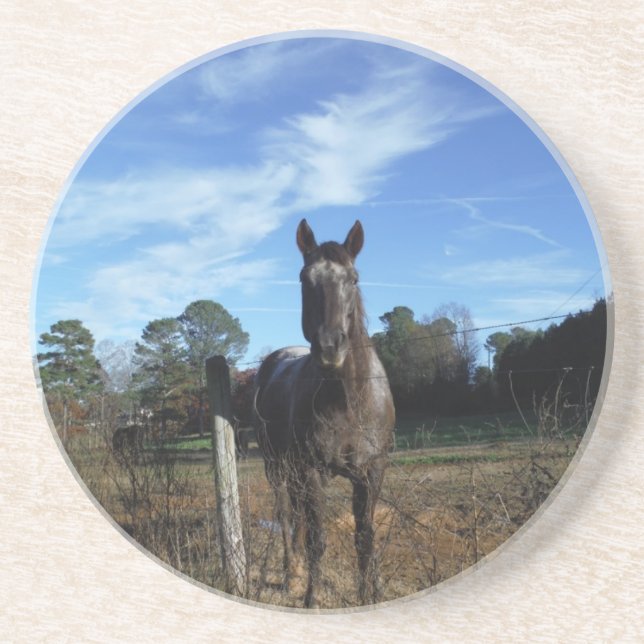 Milk Chocolate Brown Horse in Blue Untersetzer (Vorne)