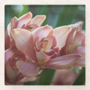 Milk Tee Orchid Glasuntersetzer