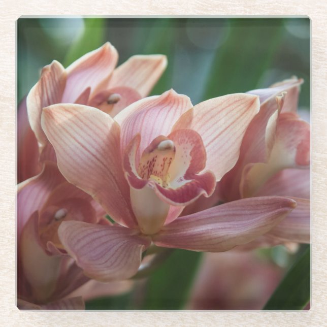 Milk Tee Orchid Glasuntersetzer (Vorderseite)