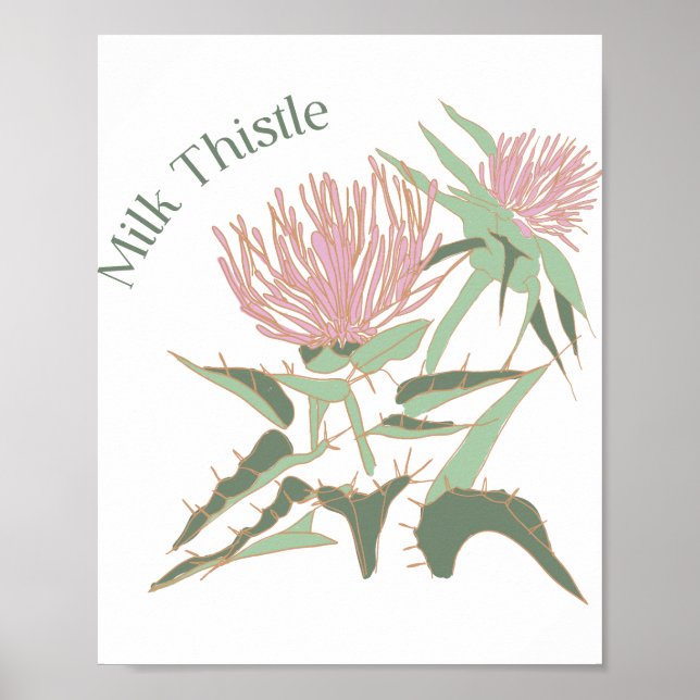 Milk Thistle Poster (Vorne)