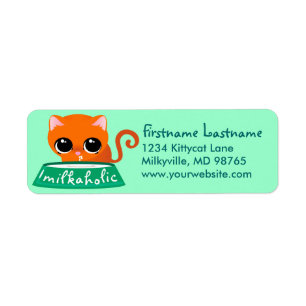 Milkaholic Orangen-Miezekatze
