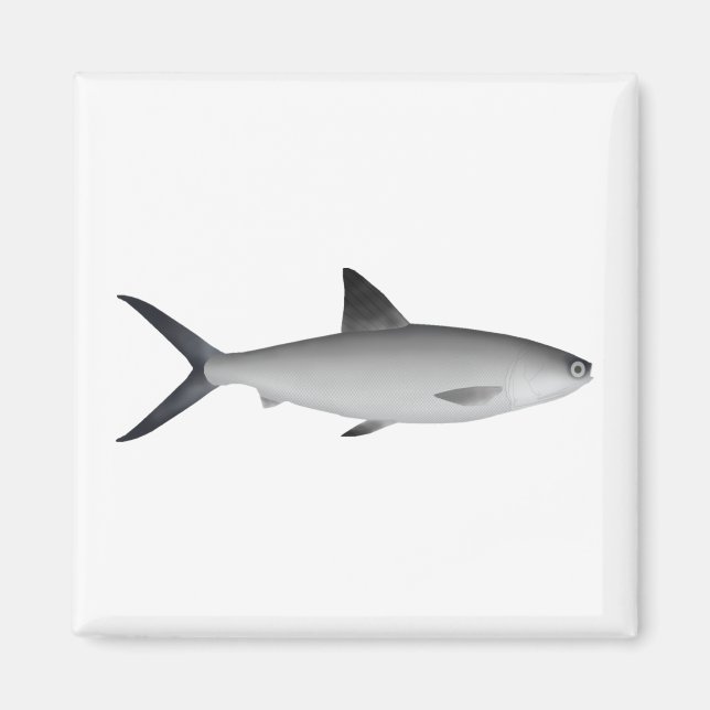 Milkfish Magnet (Vorne)