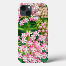 Milkweed alias Asclepias Summer Blooms Case-Mate iPhone Hülle