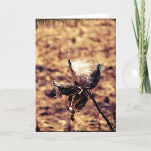 Milkweed Grunge Karte