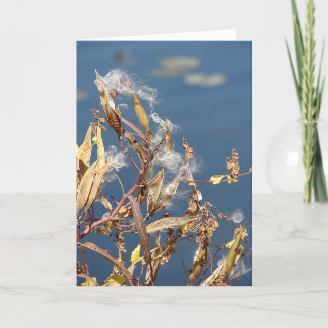 Milkweed im Naturgebiet Karte (Vorderseite)